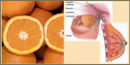 Oranges are one of the foods that resemble body parts