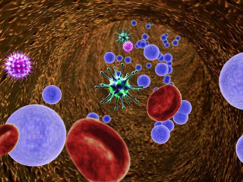 Some viruses and bacteria in the intestine.