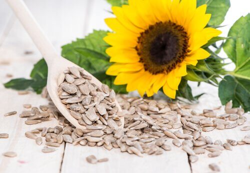 healthy fats sunflower-seeds