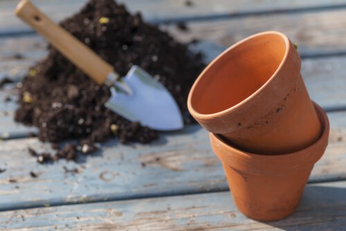 Pots and soil.