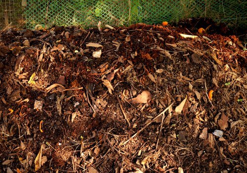 Potting soil.