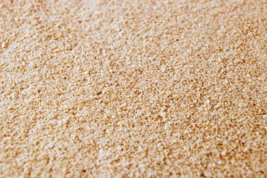 Brewster's yeast
