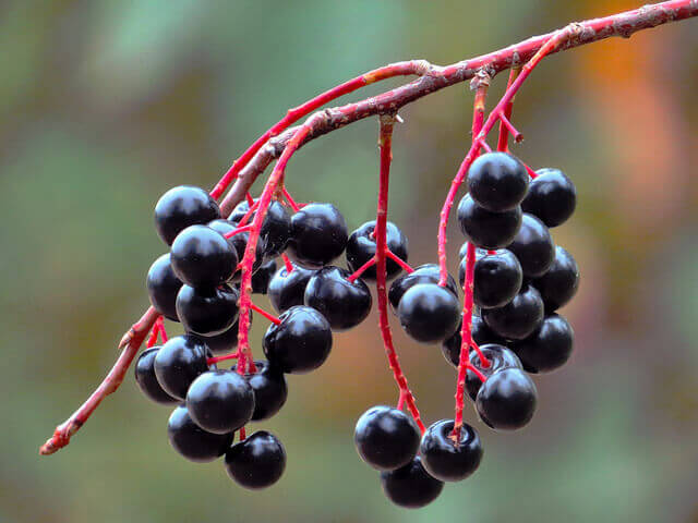 8 Foods for Clear Skin