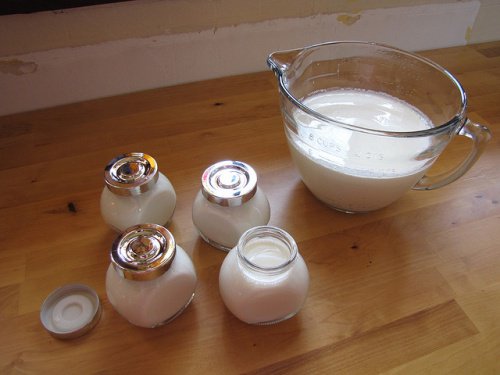 homemade yogurt for your intestinal flora