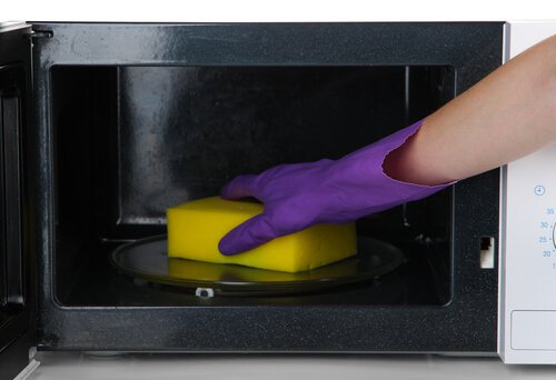 The Hidden Dangers in Kitchen Sponges