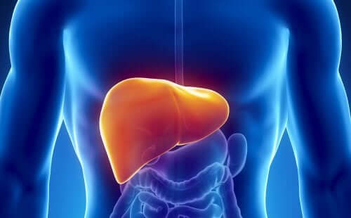 10 Easy Ways to Heal Your Liver