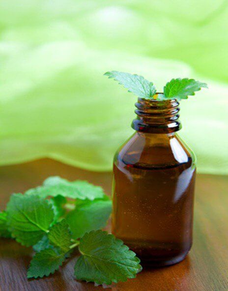 Mint essential oils for spider veins
