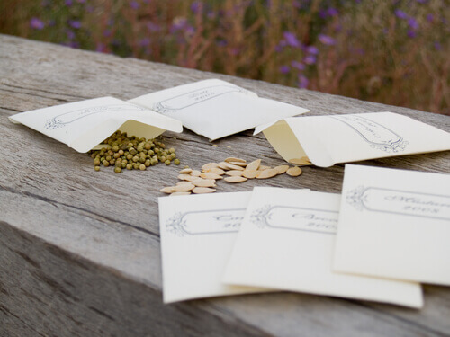 seeds