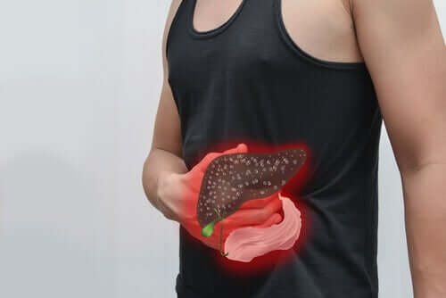 The pancreas.
