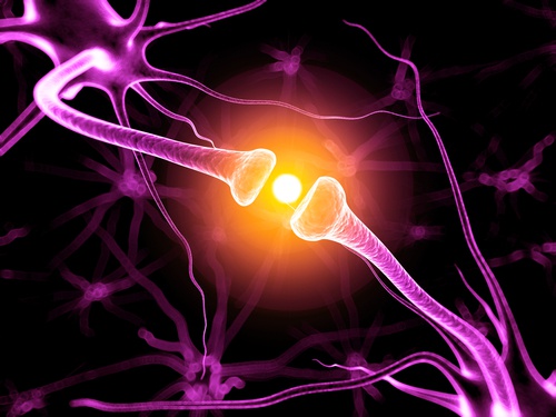 memory enhancing food Mental Performance and Memory Enhancing Food