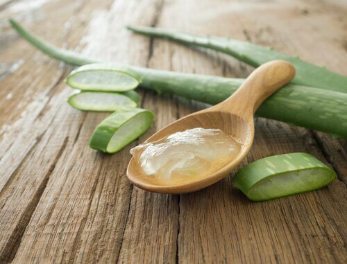 Aloe vera is good to fight wrinkles