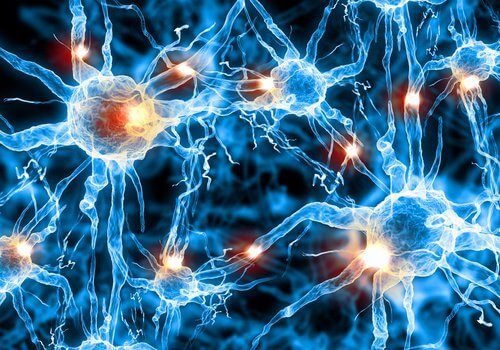 Brain cells forming connections