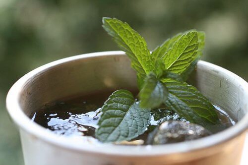 Mint leaves