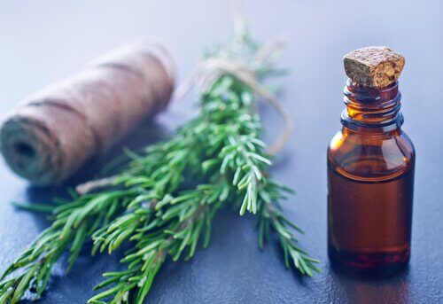 rosemary extract