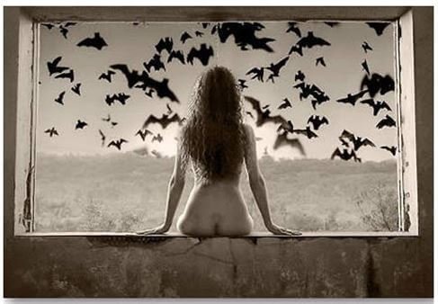 Learn to Identify These 5 Types of Emotional Vampires