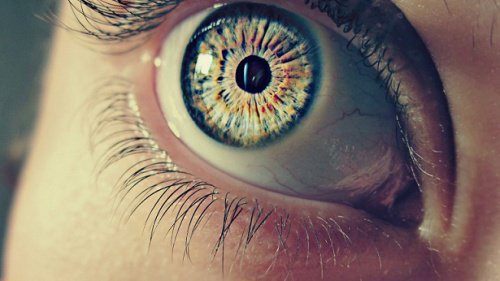 7 Strange Facts about Your Pupils