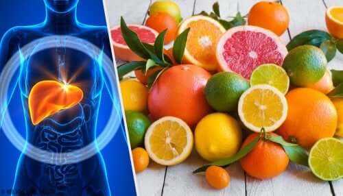 A fatty liver and citrus fruits.