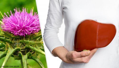 Fatty liver and milk thistle.