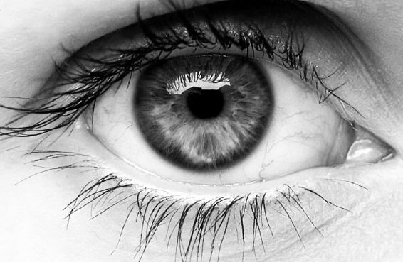 human-eye