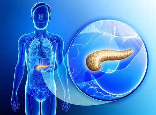 Advice to cleanse your pancreas