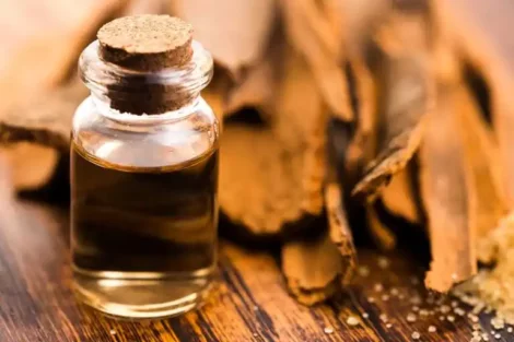 Six Drops of This Powerful Oil a Day Will Eliminate Belly Fat