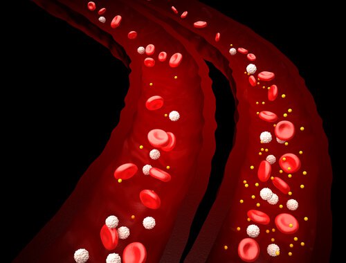 Blood stream in arteries