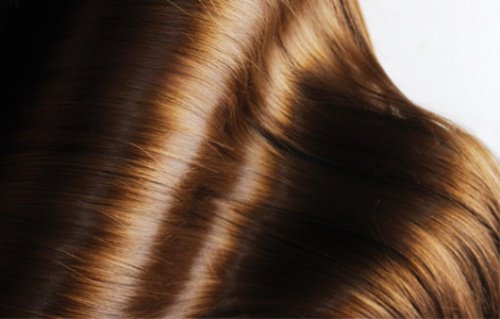 4 Plant-Based Hair Care Treatments