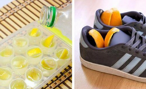 Six Alternative Uses for Citrus Peels