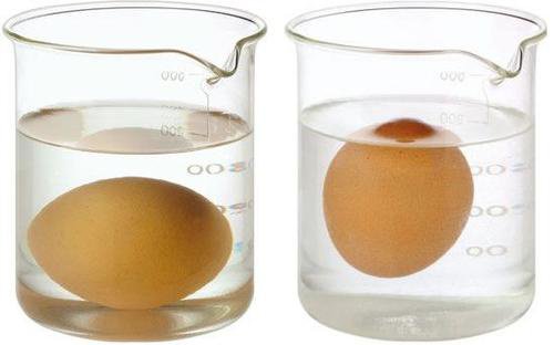 1 egg test How to Check an Egg for Freshness in Just 3 Seconds