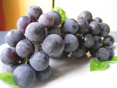 Grapes: One of the Best Foods for Kidney Health