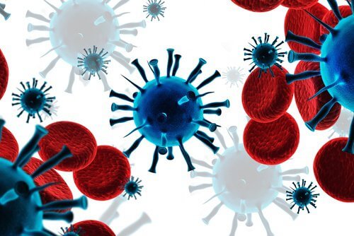 immune-system