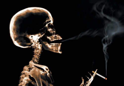 Smokers can benefit from grape seeds