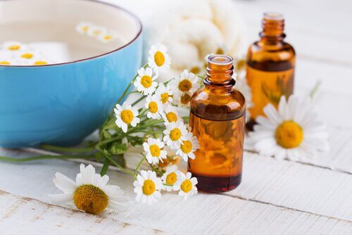 Chamomile oil and some daisies.