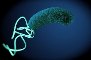 A Bacteria that Causes Pain, Bloating, and Diarrhea