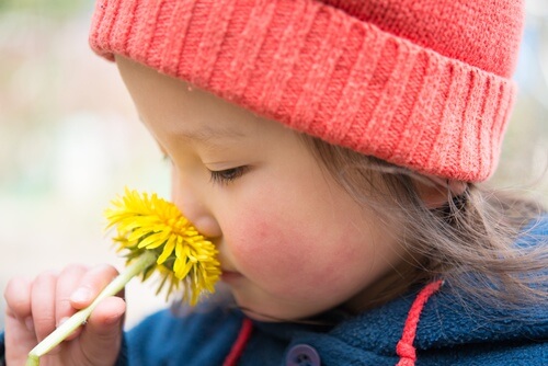 A child smelling a dandelion.