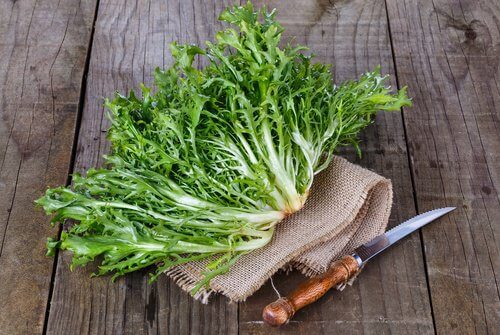 A bunch of dandelion leaves.