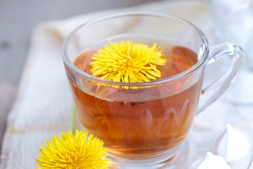 Different Uses and Benefits of Dandelion
