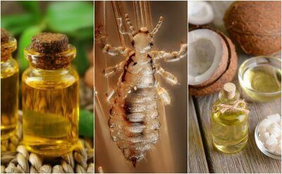 Essential oils are a good remedy against lice and nits.