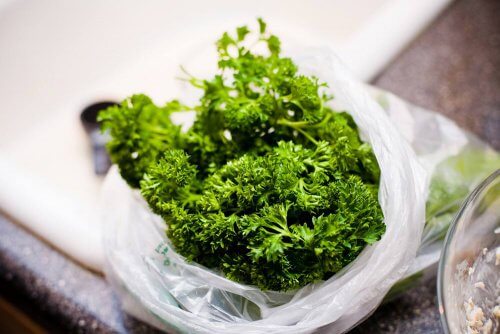 Parsley plant.