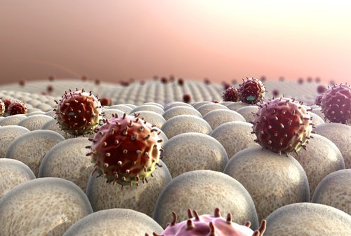 Strong immune system