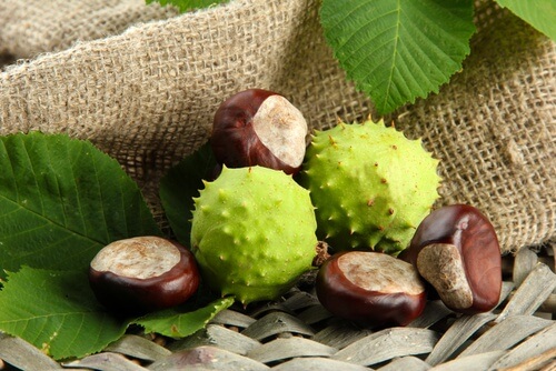 Some horse chestnuts.
