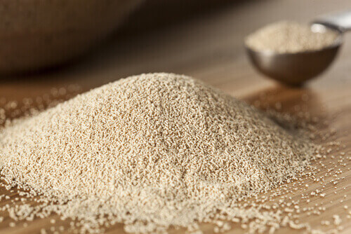 Brewer's yeast to fight hair loss