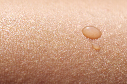 Many oils can help protect your skin