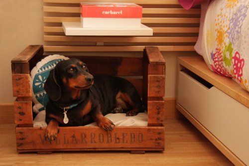 A pet box made from a crate.