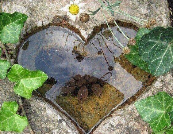 heart-shaped-concrete