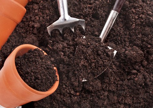 Soil and a pot.