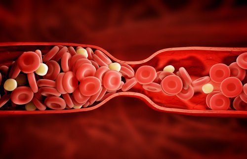 Red blood cells flowing through a thin artery.