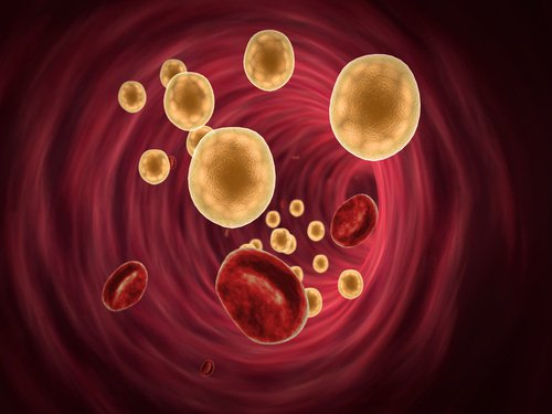 Lipids in the blood stream.