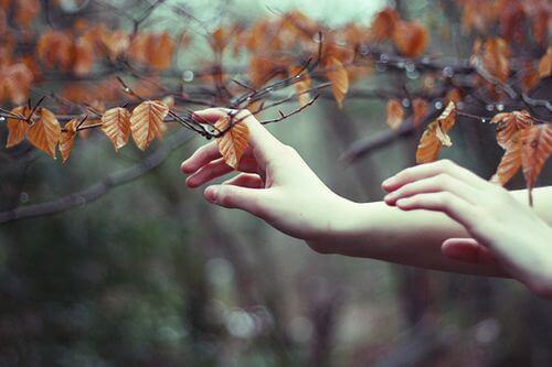 hands-touching-leaves after losing your parents