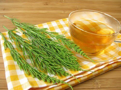 Horsetail tea to lower blood pressure